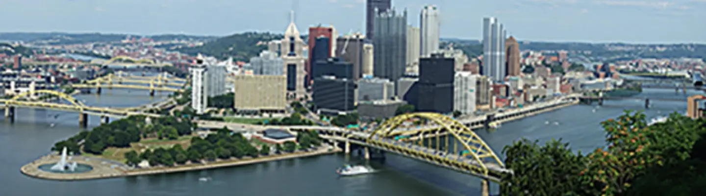 Resilient Cities