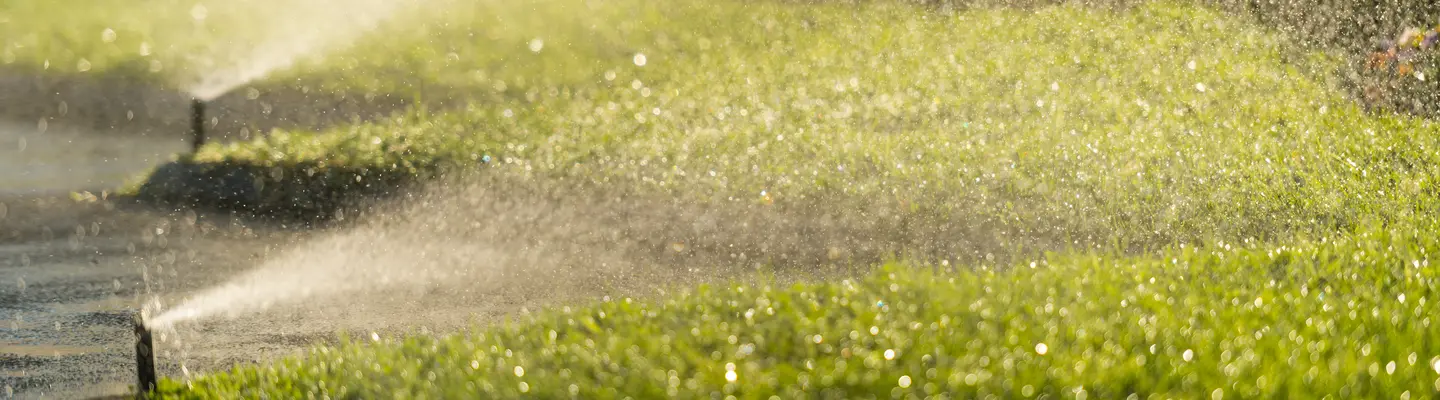 Grass with lawn watering sprinkler 