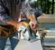 Yellow, gray and black DEWALT Circular Saw, 7-1/4 in., Electric Powered