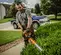 Orange Stihl hedge trimmer with 30 inch blade being used to cut hedges