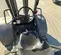 2020 Case 586H Forklift