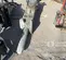 2020 FURUKAWA K-FX275QTV Attachment