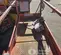 2017 Skyjack SJIII3219 Scissor Lift