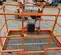 2017 Snorkel A46JE Articulating Boom Lift