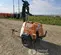 2023 Generac MLTS-4 Portable Work Light