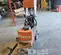 2023 Husqvarna BS-110 Stripper