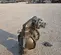 2016 Texas Process Equipment PD30S-ASS-STT-C Pump