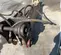 2019 FURUKAWA K-FX175QTV Attachment