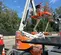 2017 Snorkel A46JE Articulating Boom Lift