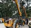 2017 JCB 512-56 S Forklift
