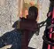 2019 TOKU TNB-7J Attachment