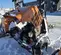 2022 Generac MLT6SKDS Portable Light Tower