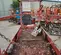 2016 Skyjack SJIII3219 Scissor Lift