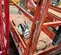 2016 Skyjack SJIII4632 Scissor Lift