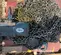 2011 JD NEUHAUS PROFI 3T 6T Hoist