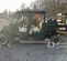 2024 Polaris PRO XD 4000D Utility Vehicle