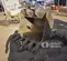 2021 TAG Manufacturing 350G Bucket Attachment