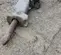 2021 Epiroc EC 140T Attachment