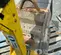 2023 Wacker Neuson DPU6555He Vibratory Plate Compactor