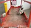 2017 Skyjack SJIII3219 Scissor Lift