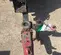 2020 Miller Welders BIG BLUE 500PRO Welder