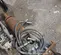 2018 Wacker Neuson HB36 Attachment