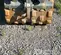 2022 Wacker Neuson RTLX-SC3 Double Drum Roller