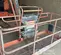 2016 JLG 600AJ Articulating Boom Lift