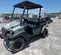2019 Club Car CARRYALL 1500 Utility Vehicle