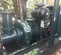 2009 Pioneer Pump PP12S17L716068 Pump