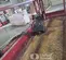 2019 MEC MICRO 26 Scissor Lift