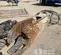 2022 Astec Industries SH180R Attachment