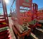 2019 Snorkel S3226E Scissor Lift