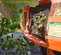 2016 JLG 1350SJP Boom Lift