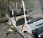 2017 Club Car CARRYALL 100 Utility Vehicle