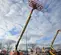 2018 JLG 800S Boom Lift