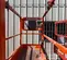 2020 Snorkel S3226E Scissor Lift