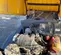 2018 Atlas Copco XAS185KD7 T4F Air Compressor