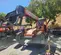 2017 SKYTRAK 6042 Forklift