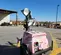 2017 Magnum Pro MLT6SM Portable Light Tower