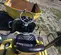 2021 Wacker Neuson 3001