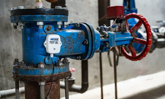 WEDGE leak detection